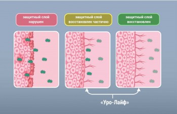 УРОЛАЙФ PRO УРОЛАЙФ PRO